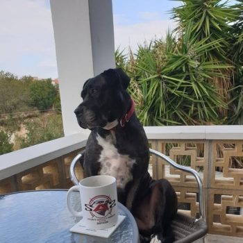 meeka sq